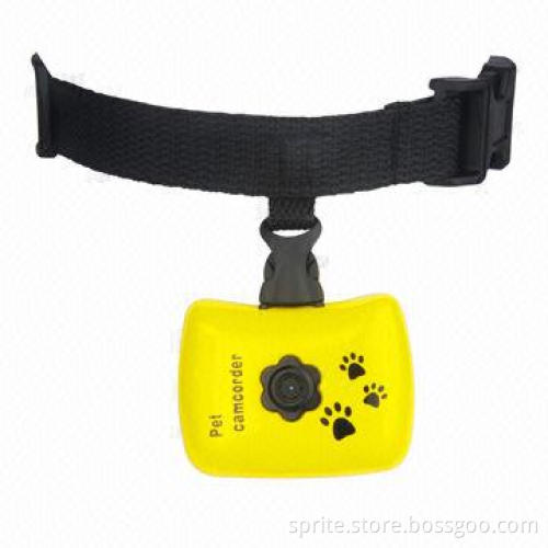 Pet camera
